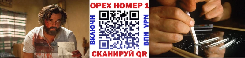 Купить закладки  Сунжа  Cocaine Fish Scale 