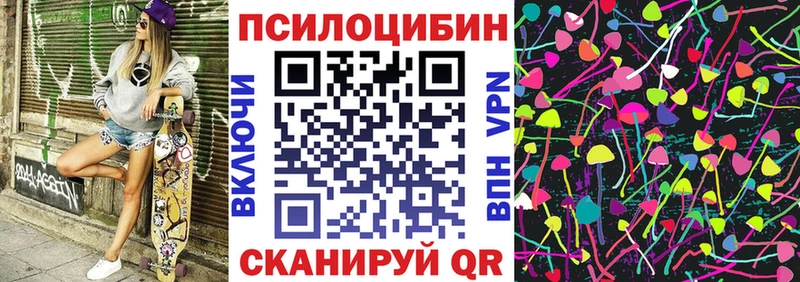 Купить  Сунжа  Галлюциногенные грибы мухоморы 